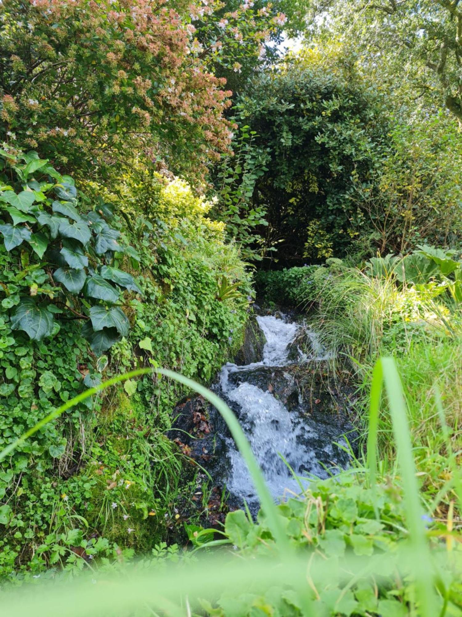 فيلا Moulin De Bonnescat Plogonnec المظهر الخارجي الصورة